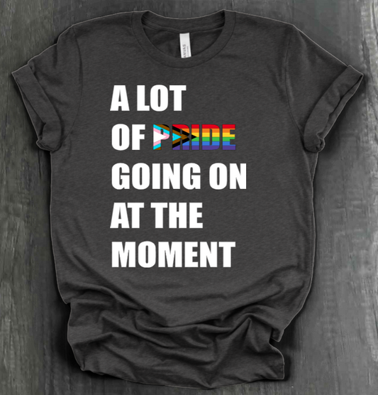 A LOT OF PRIDE GOING ON AT THE MOMENT SHIRT