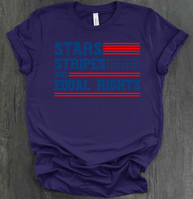 STARS AND STRIPES AND EQUAL RIGHTS T-SHIRT