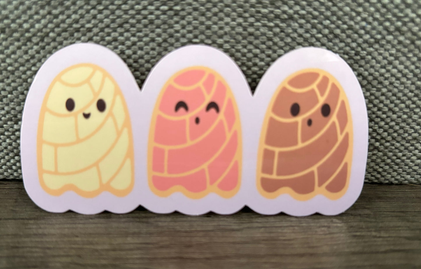 CONCHAS FANTASMA