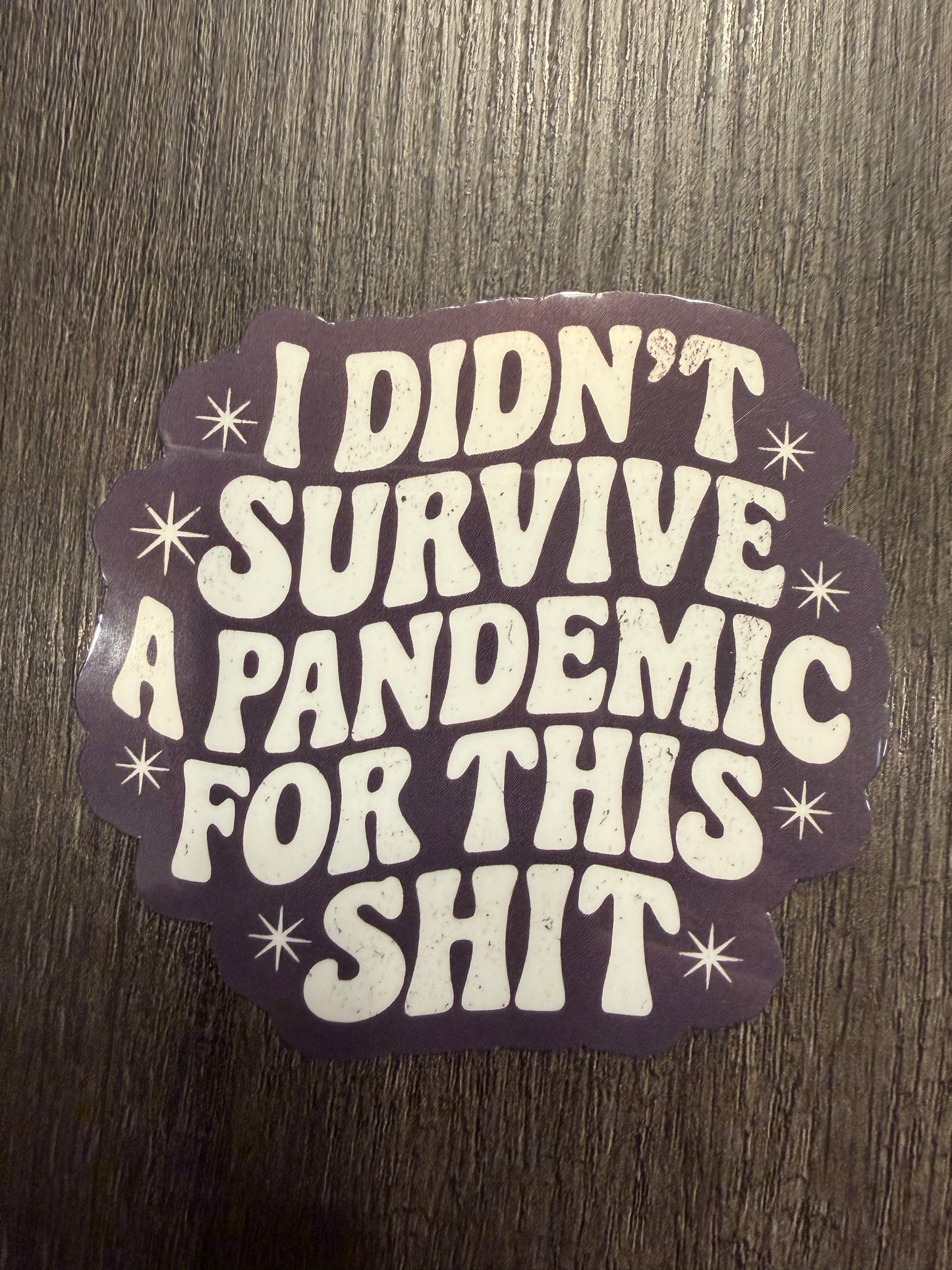 I DIDN'T SURVIVE A PANDEMIC FOR THIS SHIT STICKER
