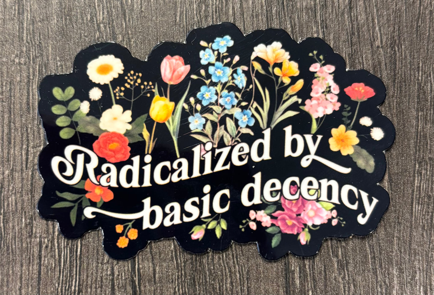 RADICALIZADO POR LA DECENCIA BÁSICA PEGATINA