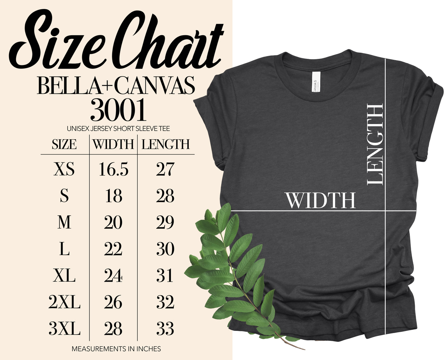 SIZE AND COLOR CHARTS