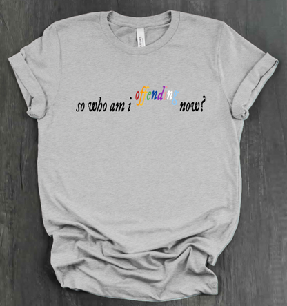 SO WHO AM I OFFENDING NOW? SHIRT