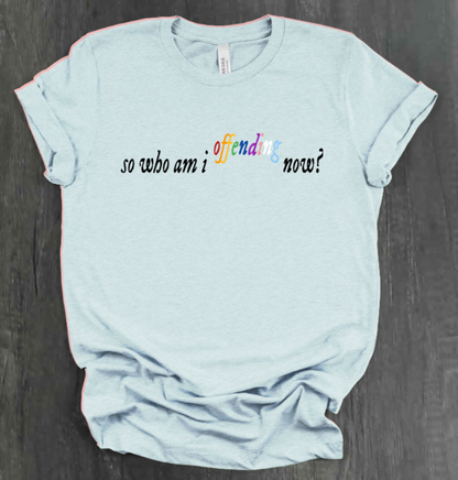 SO WHO AM I OFFENDING NOW? SHIRT