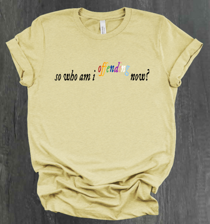 SO WHO AM I OFFENDING NOW? SHIRT