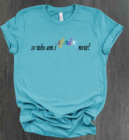 SO WHO AM I OFFENDING NOW? SHIRT