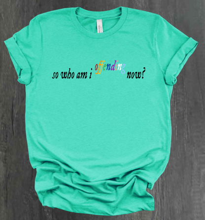 SO WHO AM I OFFENDING NOW? SHIRT