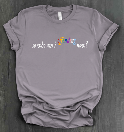 SO WHO AM I OFFENDING NOW? SHIRT