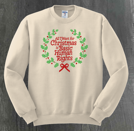 ALL I WANT FOR CHRISTMAS IS BASIC HUMAN RIGHTS SHIRT