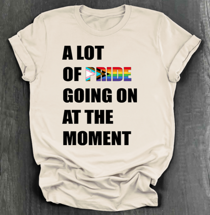A LOT OF PRIDE GOING ON AT THE MOMENT SHIRT