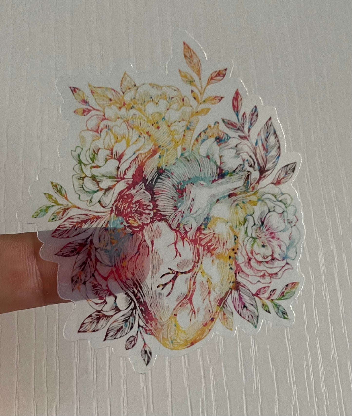 CLEAR ANATOMICAL HEART STICKER