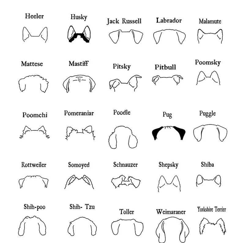 PERSONALIZED DOG SHIRT