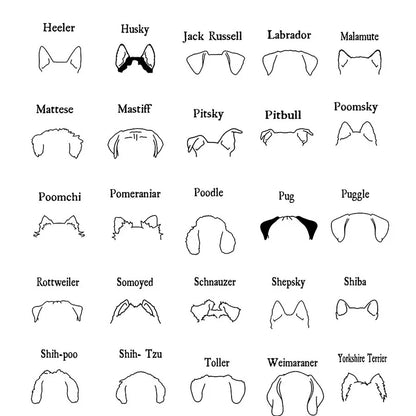 PERSONALIZED DOG SHIRT